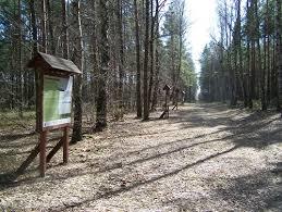 Rezerwat przyrody Śliże